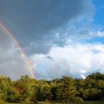 Lucky's Rainbow, Green Road