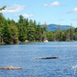 Stephens Pond #3