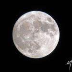 “Super Moon” – Nov 13, 2016