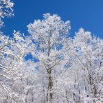 Emporium Snow #1